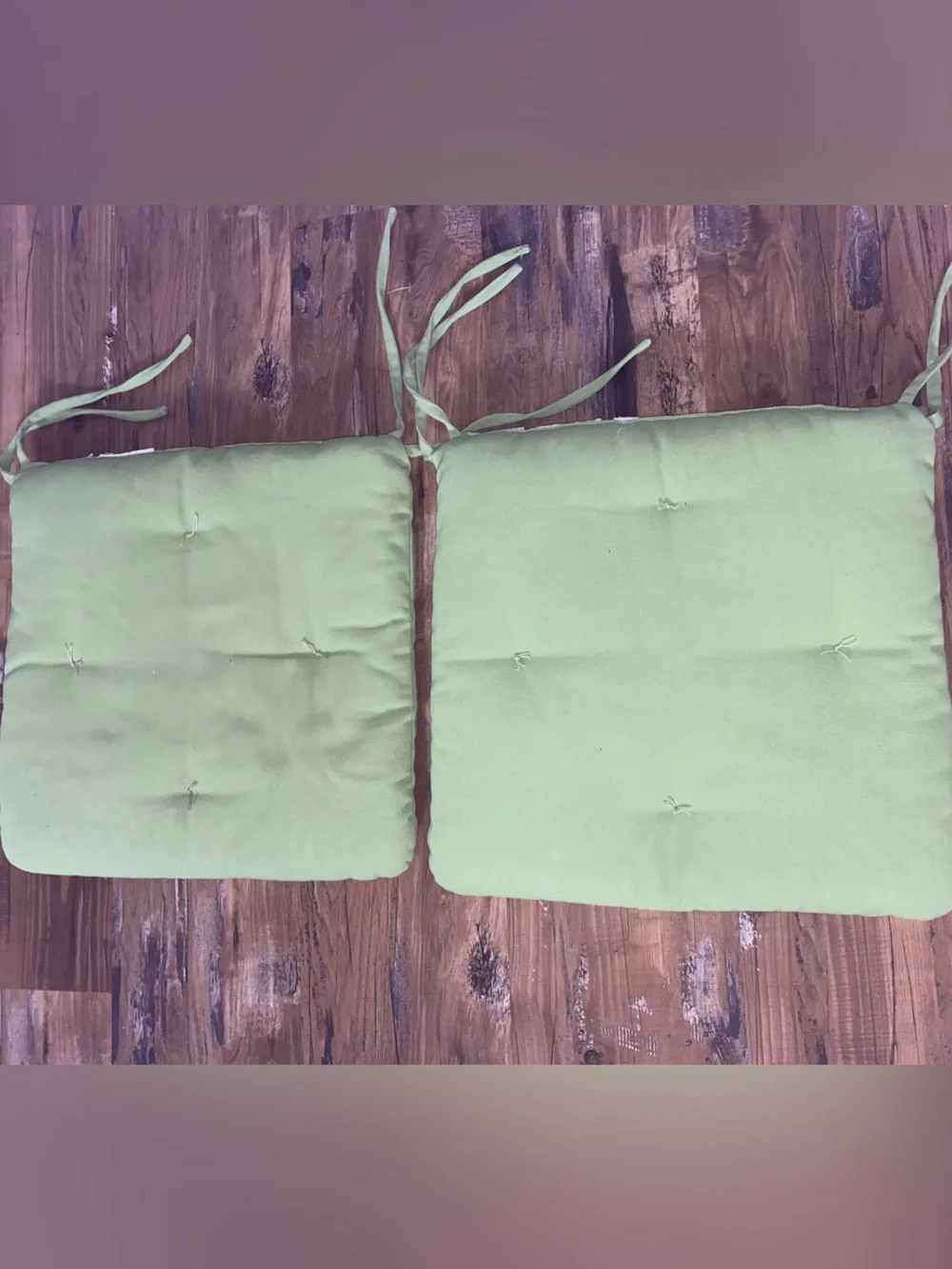 Pottery Barn Light Green Tie-On Seat Cushions - Set of 2